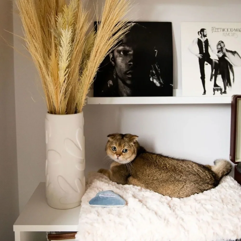 Cheshire and Wain London Cat Cloud® Throw & Bed Set in Shearling Cream